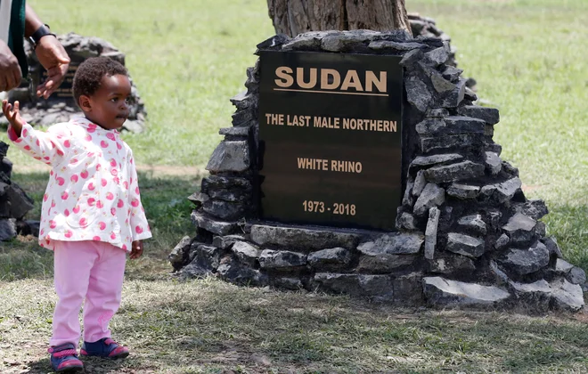 FOTO: Reuters/Thomas Mukoya