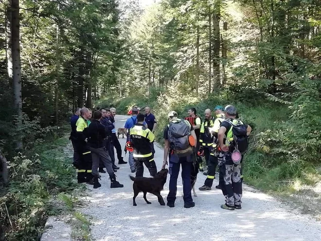 V iskanje se je vključilo več kot 80 ljudi. FOTO:PGD Idrija 