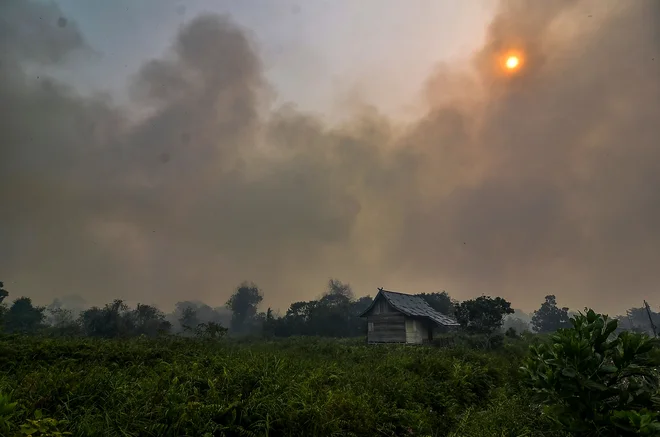 Težave v Indoneziji in Maleziji pa tudi v Singapurju, ravno pred dirko formule ena. FOTO: Wahyudi/AFP