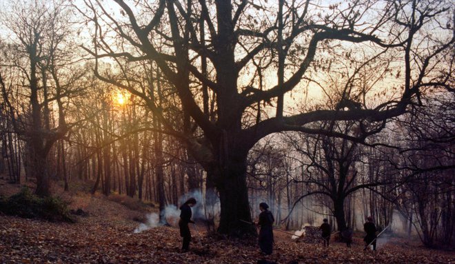 <em>Zgodbe iz kostanjevih gozdov</em> so na festivalu prejele enajst nagrad. FOTO: arhiv Nosorogi