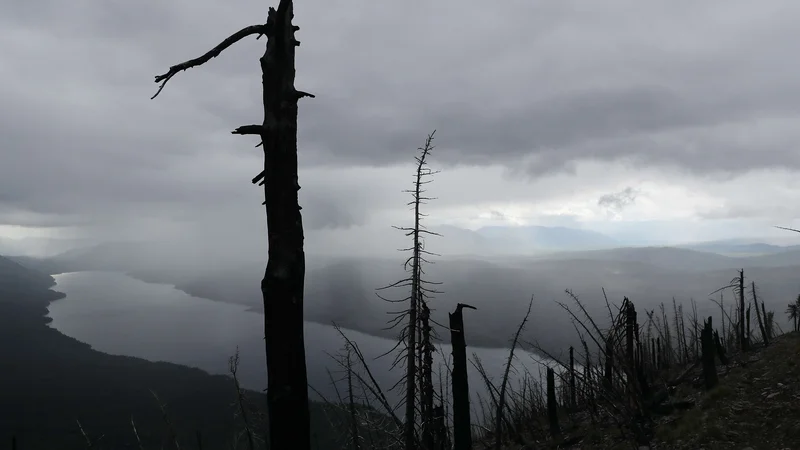 Fotografija: Doseganje ogljične nevtralnosti je eden ključnih ukrepov za preprečitev katastrofalnih dolgoročnih podnebnih sprememb. FOTO: AFP