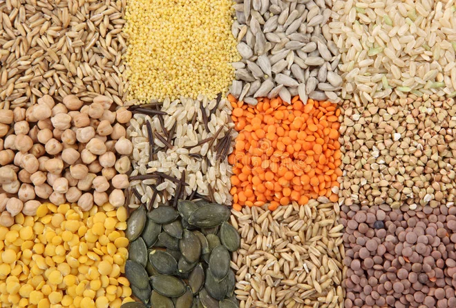 Nikolaj Vavilov je ustvaril dotlej največjo zbirko semen z več stotisoč sortami. Foto Shutterstock