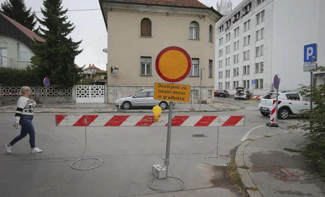 FOTO: Jože Suhadolnik/Delo