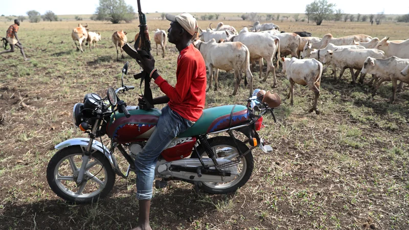 Fotografija: Bojevnik Turkana s puško na motorju ščiti govedo pred sovražnimi bojevniki. FOTO: Goran Tomasević/Reuters