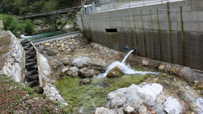 Fotografija: Mala hidroelektrarna Kneža, ki so jo pred kratkim zagnale Soške elektrarne, ne prekinja rečnega toka, ribam pa omogoča prehod jezu. FOTO: Blaž Močnik