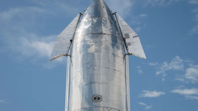 Fotografija: Musk vztraja, da moramo poseliti Mars. FOTO: Loren Elliott/AFP