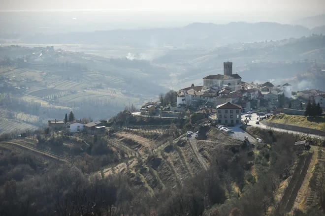 Od nekoliko manj kot 28.000 pridelovalcev vina in grozdja, vpisanih v register, so skoraj vsi tudi pridelovalci vina. Foto Uroš Hočevar