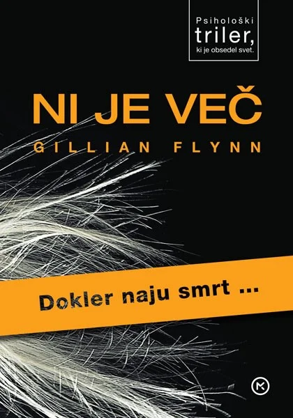 »Najbolj me frustrira ideja, da morajo ženske že po naravi vedno biti dobre in skrbne,« pravi Gillian Flynn.