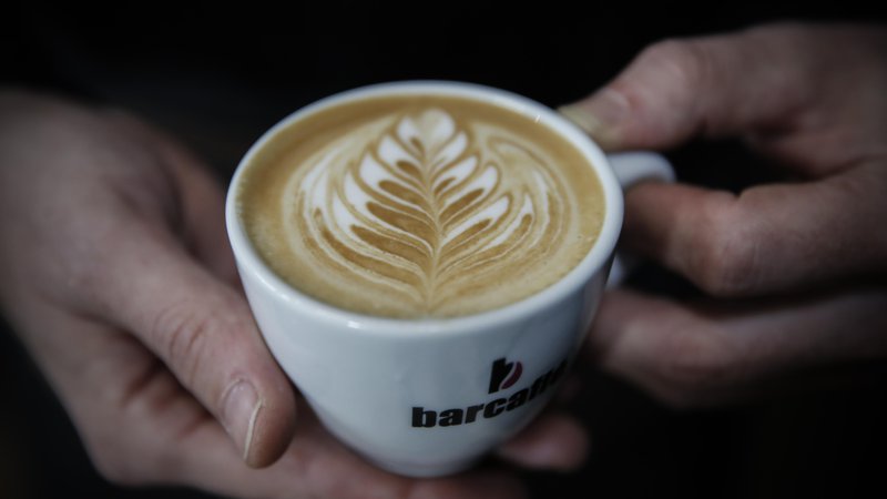 Fotografija: Občutljivi kavovec coffea arabica, katerega plodovi pristajajo v evropskih capuccinih, zahteva zaradi podnebnih sprememb gojenje na vse višjih in vse hladnejših legah. FOTO: Uroš Hočevar/Delo