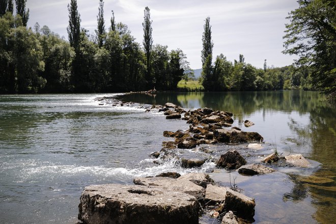 Levi breg mejne reke Kolpe v Učakovcih, kjer migranti pogosto prečkajo reko.FOTO: Uroš Hočevar/Delo
