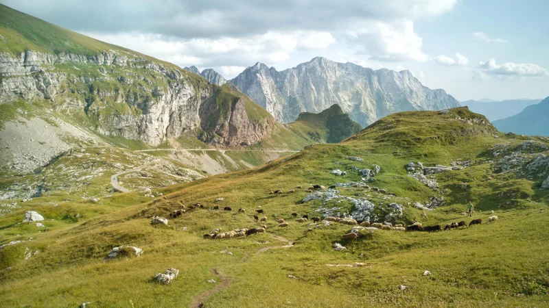 Fotografija: Mangartsko sedlo. Foto Shutterstock