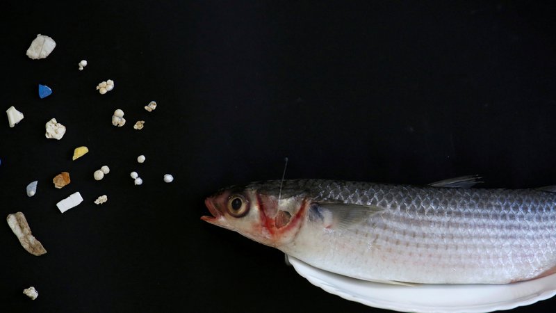 Fotografija: Človek je mikroplastiki izpostavljen prek hrane, vode in zraka. Poleg morske hrane so jo našli še v medu in pivu.
Foto Reuters