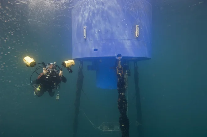 Oceanografska boja šele pod morjem pokaže svoje dimenzije.<br />
Foto Tihomir Makovec