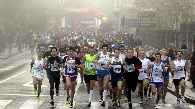 Fotografija: Foto: Matej Družnik/Delo