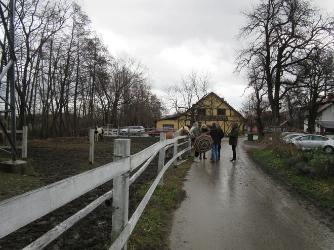 Ranč Dravinj. FOTO: Špela Kuralt