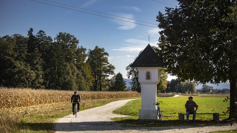 Fotografija: Nujno je aktivirati slovenski mrtvi kapital v bankah in tujini. Potrebujemo nekaj kmečke pameti in več domoljubja. Foto Voranc Vogel