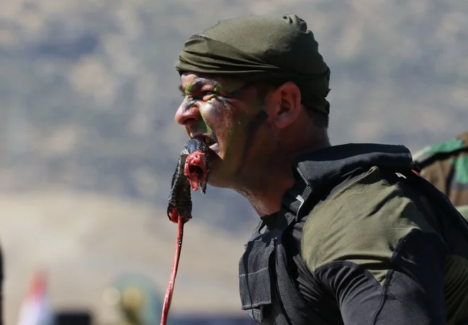 Iraški kurdski Pešmerga častnik je odgriznil kačo, medtem ko je demonstriral spretnosti med podelitvijo diplom v kurdskem mestu Soran, približno 100 kilometrov severovzhodno od glavnega mesta iraške avtonomne kurdske regije Arbil. FOTO: Safin Hamed/AFP