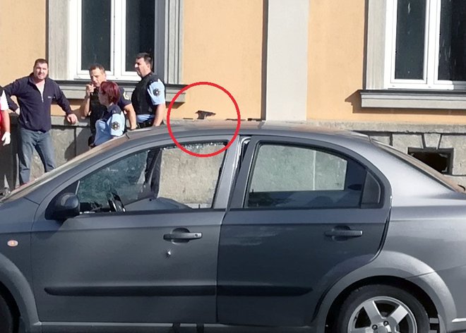 Orožje je Senad Softić odložil na okensko polico, rokovanje z njim pa mu niti najmanj ni bilo tuje. FOTO: Aleš Andlovič