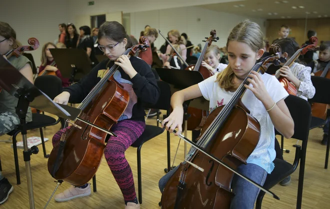 Letošnji program je bil nekoliko zahtevnejši od prejšnjega, je povedala vodja delavnice in mentorica Ksenija Trotovšek Brlek. FOTO: Jože Suhadolnik