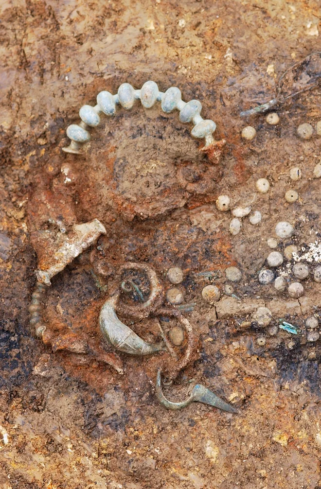 Bronaste fibule, jantarne in steklene jagode ob odkritju. FOTO: Borut Križ