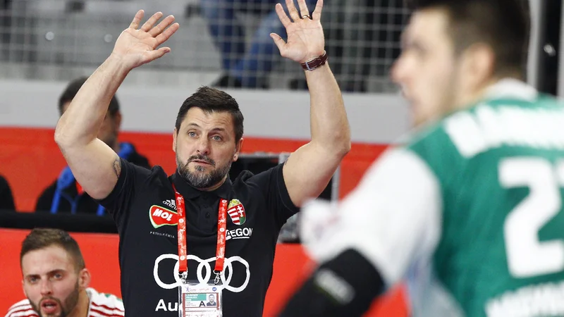 Fotografija: Ljubomir Vranješ je z Madžarsko lani izločil Slovenijo v kvalifikacijah za SP. FOTO: Reuters
