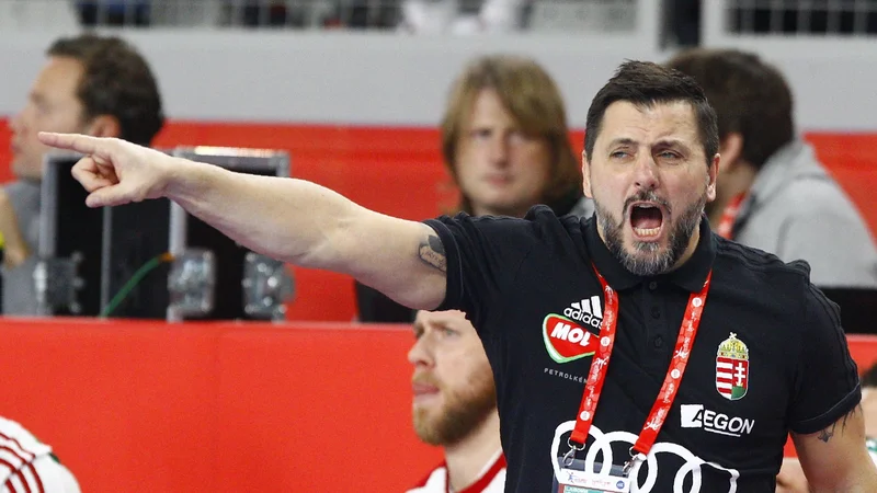 Fotografija: Ljubomir Vranješ je vodil hkrati Veszprem in Madžarsko. FOTO: Reuters