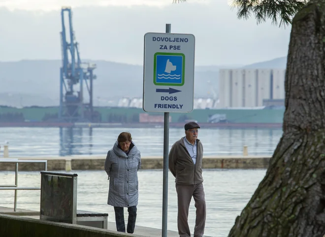 V prvih treh četrtletjih leta 2019 se je obseg bruto domačega proizvoda glede na isto obdobje prejšnjega leta povečal za 2,7 odstotka. FOTO: Jože Suhadolnik/Delo