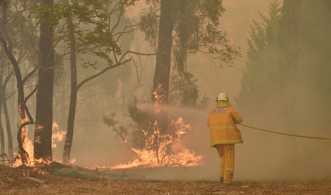 Gasilci so se danes borili tudi s požarom v Balmoralu, 150 kilometrov jugozahodno od Sydneyja. FOTO: Peter Parks/AFP