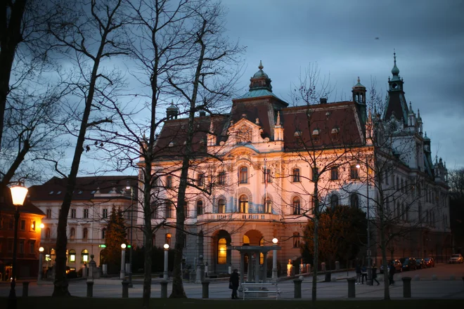 Nekatere fakultete kandidatom naložijo diferencialne izpite. FOTO: Jure Eržen/Delo