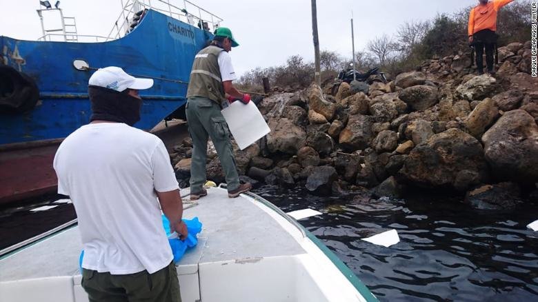 Fotografija: Uslužbenci galapagoškega naravnega parka se trudijo, da bi odstranili razlito nafto. FOTO: Park Galapagos /twitter