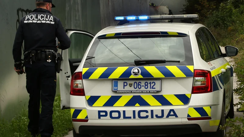 Fotografija: Slika je simbolična. FOTO: Jure Eržen/Delo