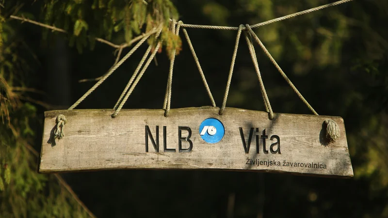 Fotografija: NLB Vita je bila po podatkih iz leta 2018 druga največja življenjska zavarovalnica v Sloveniji s tržnim deležem 14,8 odstotka. FOTO Jure Eržen/Delo