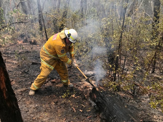 Najhuje je v zvezni državi Novi Južni Wales, tam divja več kot sto požarov. FOTO: Jill Gralow/Reuters