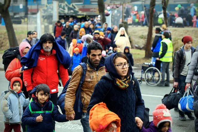 Zaradi kritik na račun razmer v centru je občinski odbor sprejel odločitev o imenovanju t. i. garanta, ki bo imel pooblastilo vstopiti vanj. FOTO: Blaž Samec/Delo