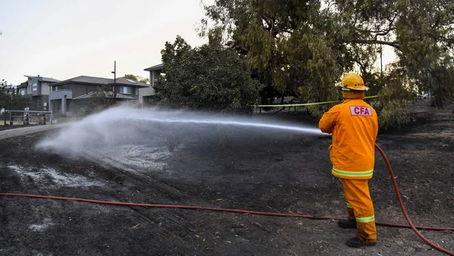 Požare stopnjujejo visoke temperature in močan veter. FOTO: William West/Afp