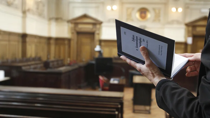 Fotografija: 1 pobudo za uvedbo disciplinskega postopka je lani podal sodni svet (zaradi vedenja in ravnanja sodnika, ki je v nasprotju s sodniško neodvisnostjo ali s katerim se krši ugled sodniškega poklica)FOTO: Leon Vidic/Delo