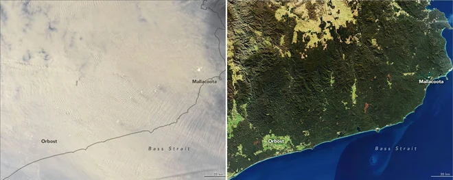 Posnetek, ki je nastal 2. januarja, prikazuje debelo plast dima, ki se vali nad Victorio in Novim Južnim Walesom. Za primerjavo so pri Nasi dodali fotografijo iz 24. junija 2019.
FOTO: NASA Earth Observatory/AFP