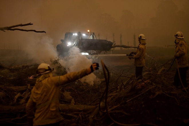 Gasilci odstranjujejo tleče drevo med zatišjem čez konec tedna. FOTO: Tracey Nearmy/ Reuters