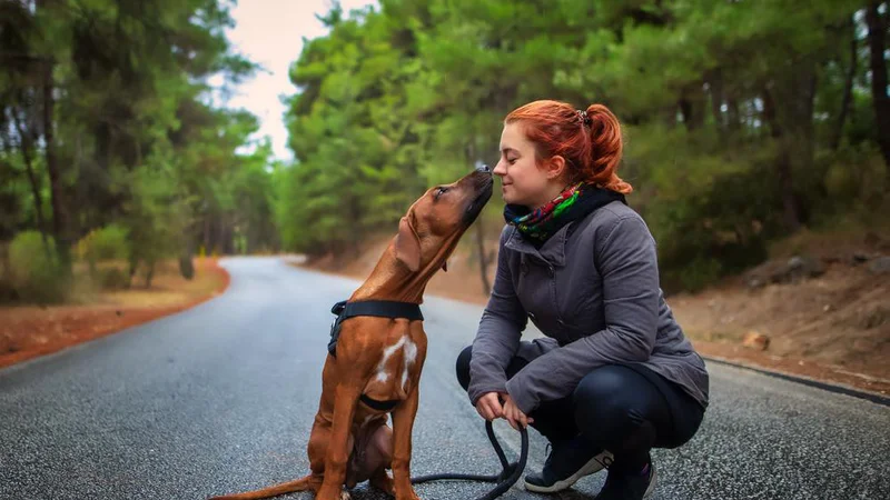 Fotografija: Pes nam je lahko v pomoč pri ponovnem spoznavanju naravnih zakonitosti, ki smo jih v okolju polnem drugih dražljajev pozabili ali prezrli. FOTO: Shutterstock