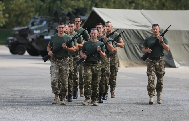 Današnja razprava odbora za obrambo in odbora za zunanjo politiko je bila širška, kot je bilo prvotno predvideno. FOTO: Tadej Regent/Delo