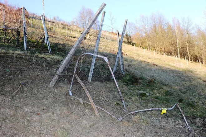 V ponedeljek so policisti zunaj naselja Vrh pri Boštanju med vinogradi našli mesto detonacije neznane eksplozivne naprave. FOTO: PU Novo mesto