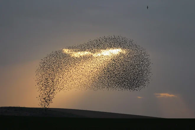 FOTO: Menahem Kahana/AFP