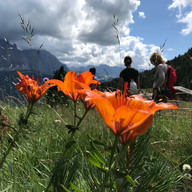 Val Gardena Foto Mimi Podkrižnik