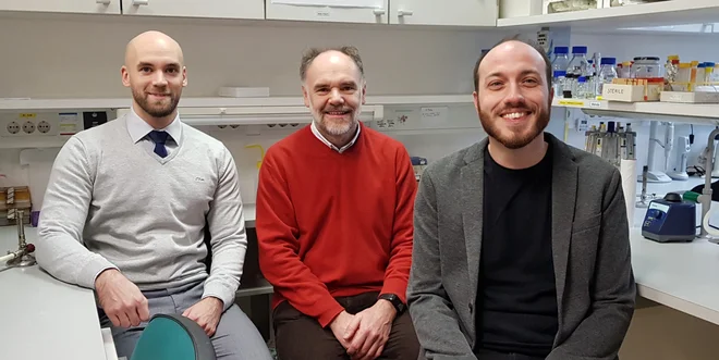 Na sliki je ekipa, ki bo izvajala projekt ERC PoC CCedit, Tomaž Bizjak, Roman Jerala in Duško Lainšček. FOTO: Kemijski Inštitut