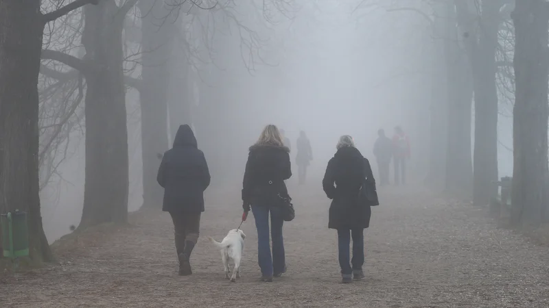 Fotografija: Zame je megla vedno priložnost, da bolj – kot gledam – poslušam. Slišim korake na ulici. Slišim psa, ki laja ...FOTO: Jože Suhadolnik/Delo