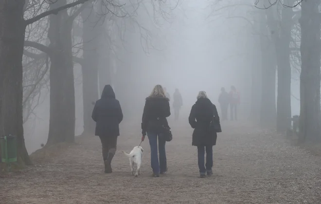 Zame je megla vedno priložnost, da bolj &ndash; kot gledam &ndash; poslušam. Slišim korake na ulici. Slišim psa, ki laja ...FOTO: Jože Suhadolnik/Delo