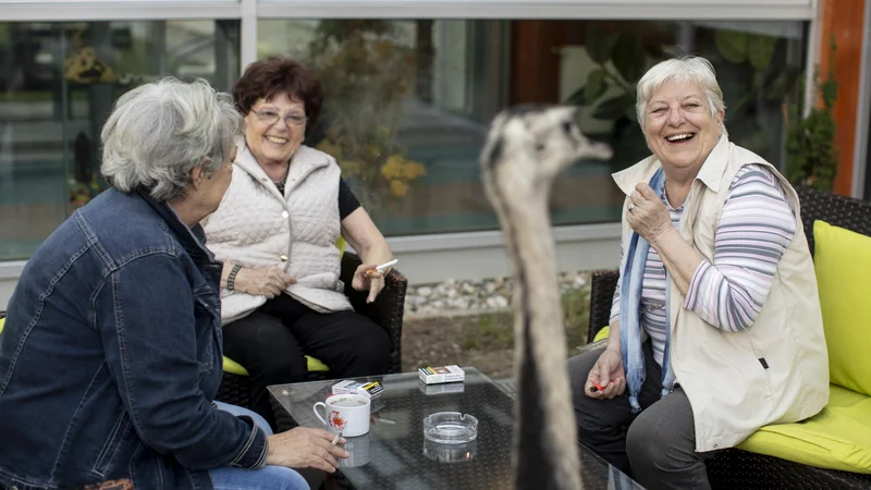 Fotografija: Spremembe minimalne plače niso vzrok za cene storitev v domovih za starejše, opozarja Levica. FOTO: Voranc Vogel