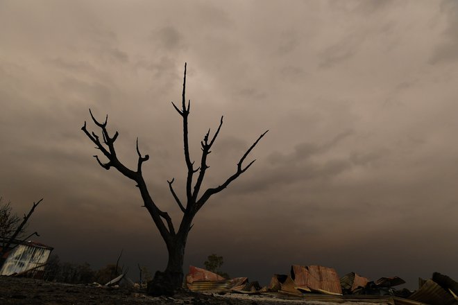 Požari v Avstraliji so jasne posledice podnebnih sprememb. FOTO: Stringer Reuters