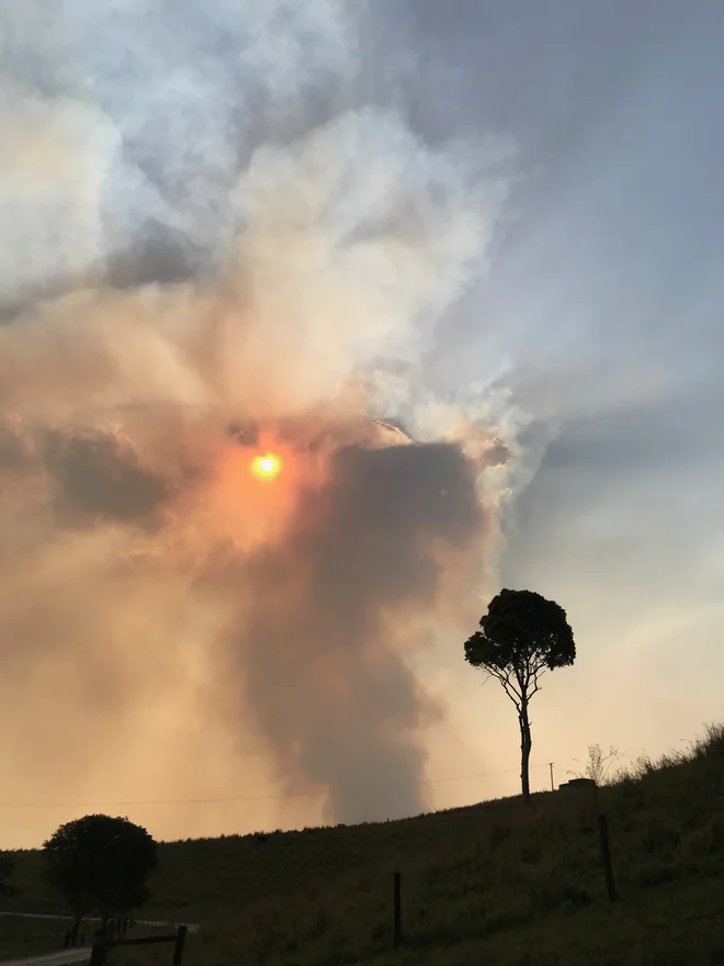 Požar v bližini doma Jaka Adamiča FOTO: Jaka Adamič