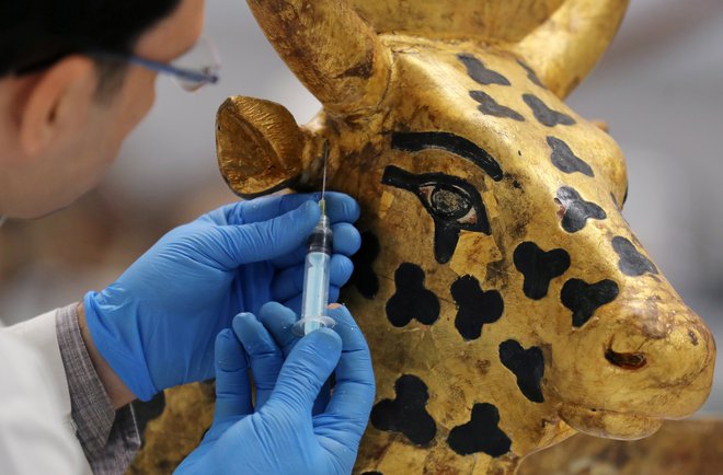 Več sto predmetov iz Tutankamonove zbirke bo prvič na ogled šele v novem muzeju v Gizi. Foto Reuters